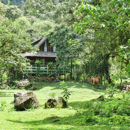 Mindo Eco Chalet Con Rio Y Cascada Bagian luar foto