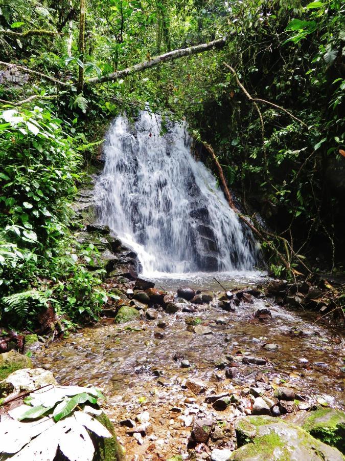 Mindo Eco Chalet Con Rio Y Cascada Bagian luar foto
