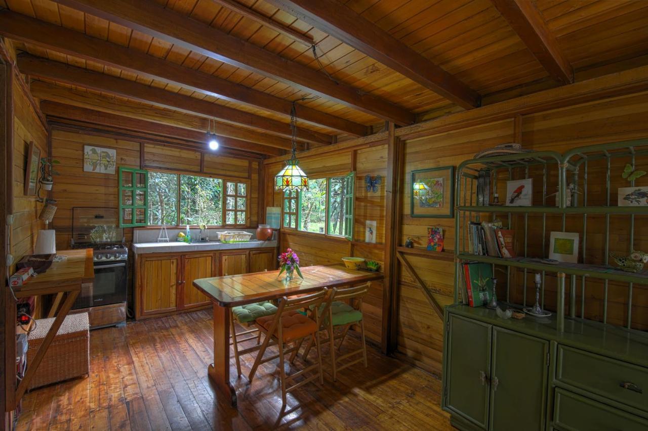Mindo Eco Chalet Con Rio Y Cascada Bagian luar foto