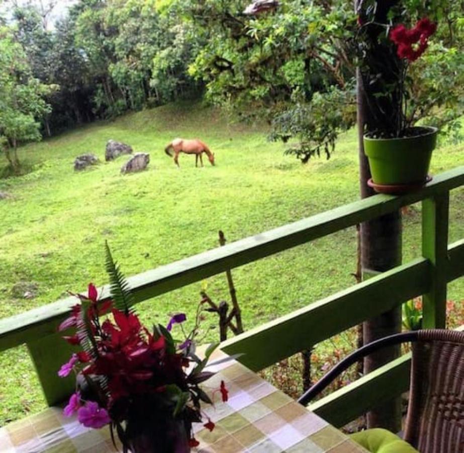 Mindo Eco Chalet Con Rio Y Cascada Bagian luar foto