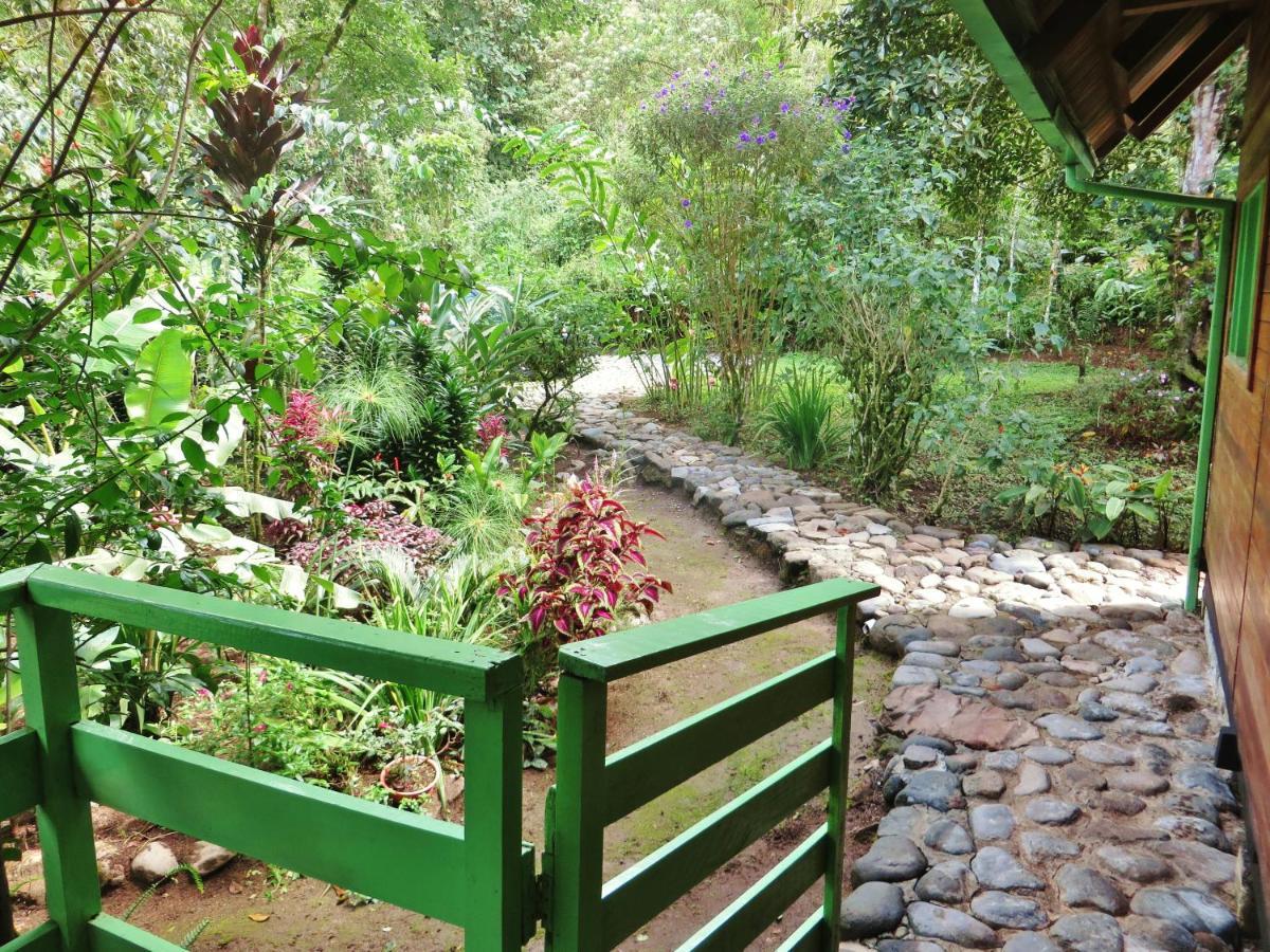 Mindo Eco Chalet Con Rio Y Cascada Bagian luar foto