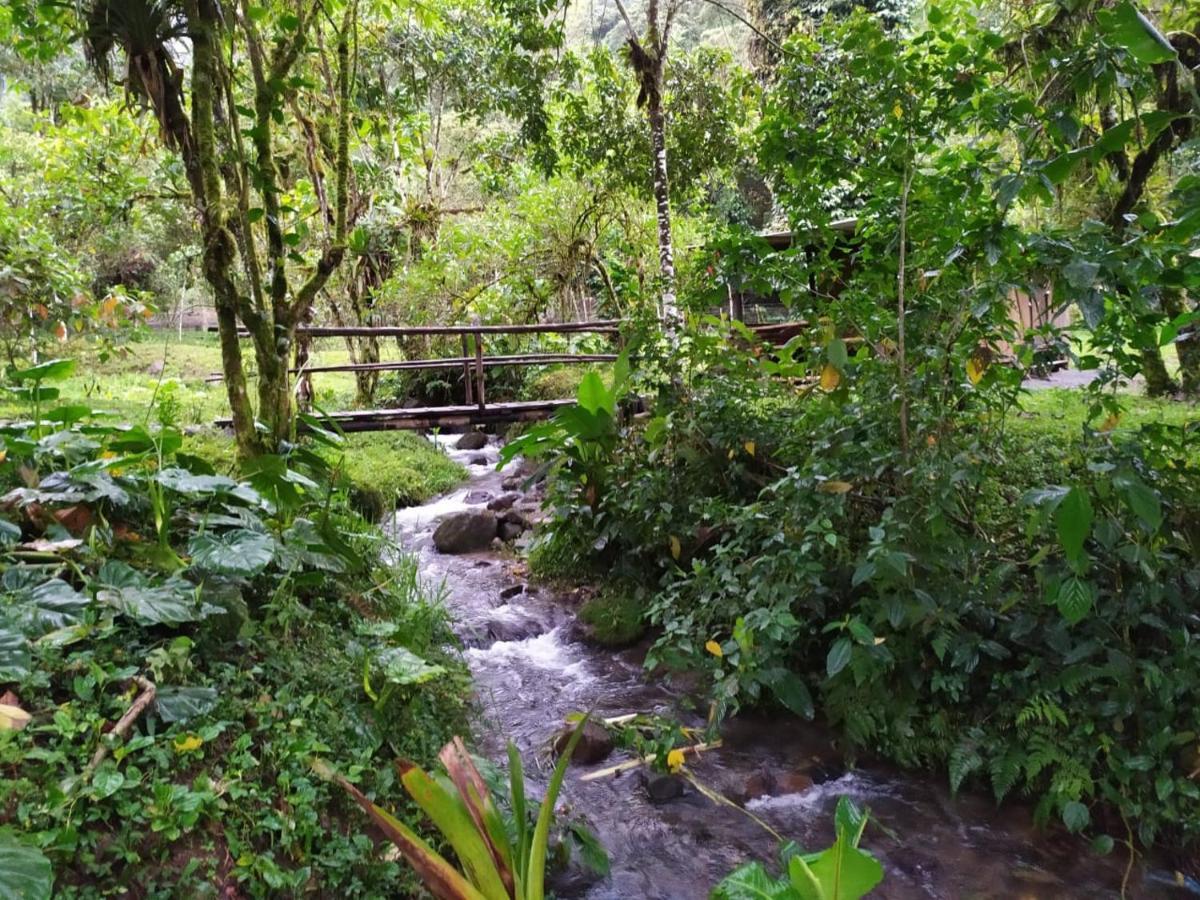 Mindo Eco Chalet Con Rio Y Cascada Bagian luar foto
