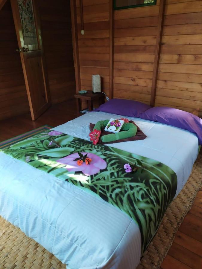 Mindo Eco Chalet Con Rio Y Cascada Bagian luar foto