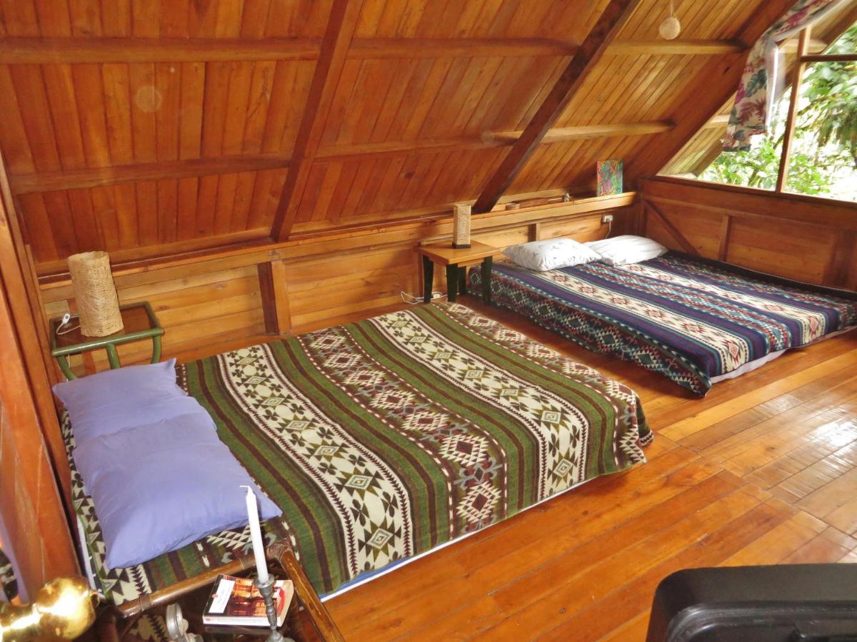 Mindo Eco Chalet Con Rio Y Cascada Bagian luar foto
