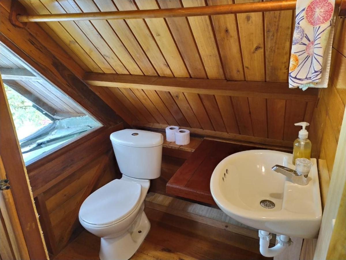 Mindo Eco Chalet Con Rio Y Cascada Bagian luar foto