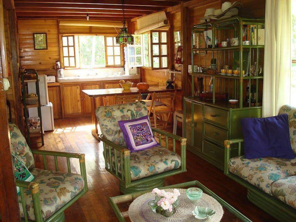 Mindo Eco Chalet Con Rio Y Cascada Bagian luar foto