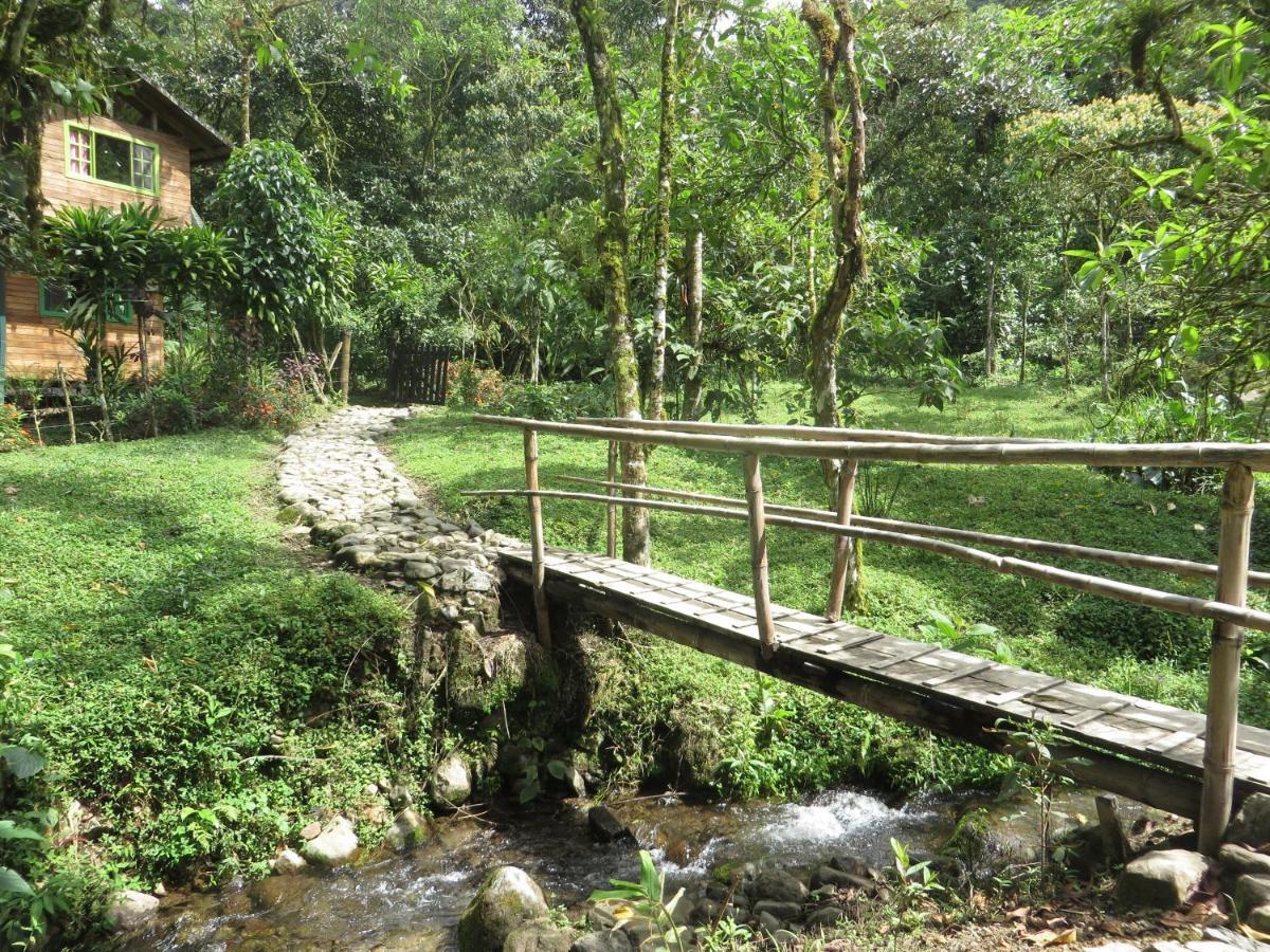 Mindo Eco Chalet Con Rio Y Cascada Bagian luar foto